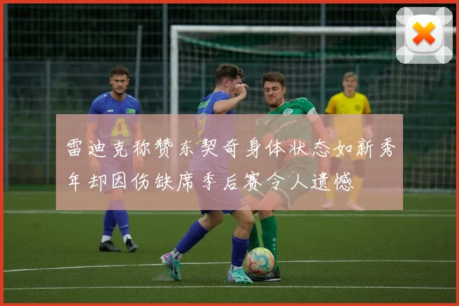 雷迪克称赞东契奇身体状态如新秀年却因伤缺席季后赛令人遗憾