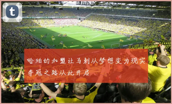 哈珀的加盟让马刺从梦想变为现实夺冠之路从此开启